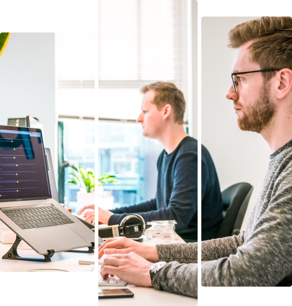 Team working on computers illustration